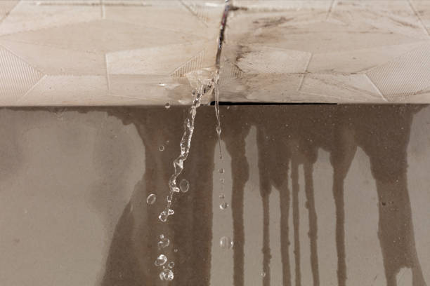 Professional Water Damage Repair technician working in Benicia, CA